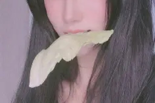 全部导航